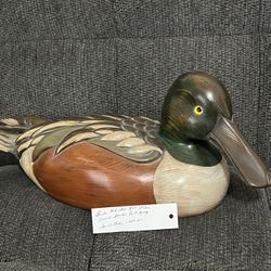 Duck Decoy
