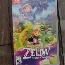 The Legend of Zelda: Echoes of Wisdom (New)