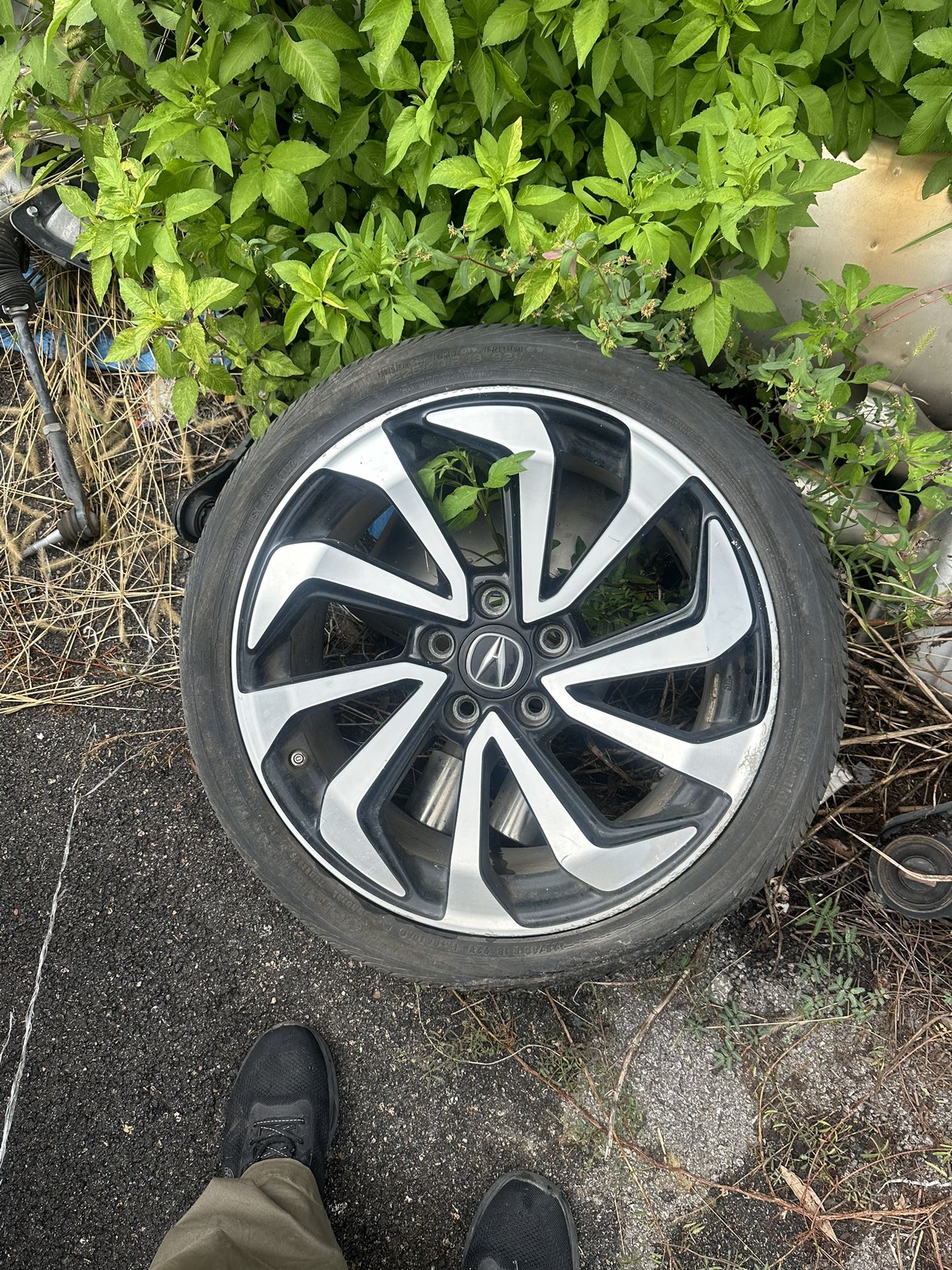 2016 2017 2018 Acura ILX Rim 18 Inch