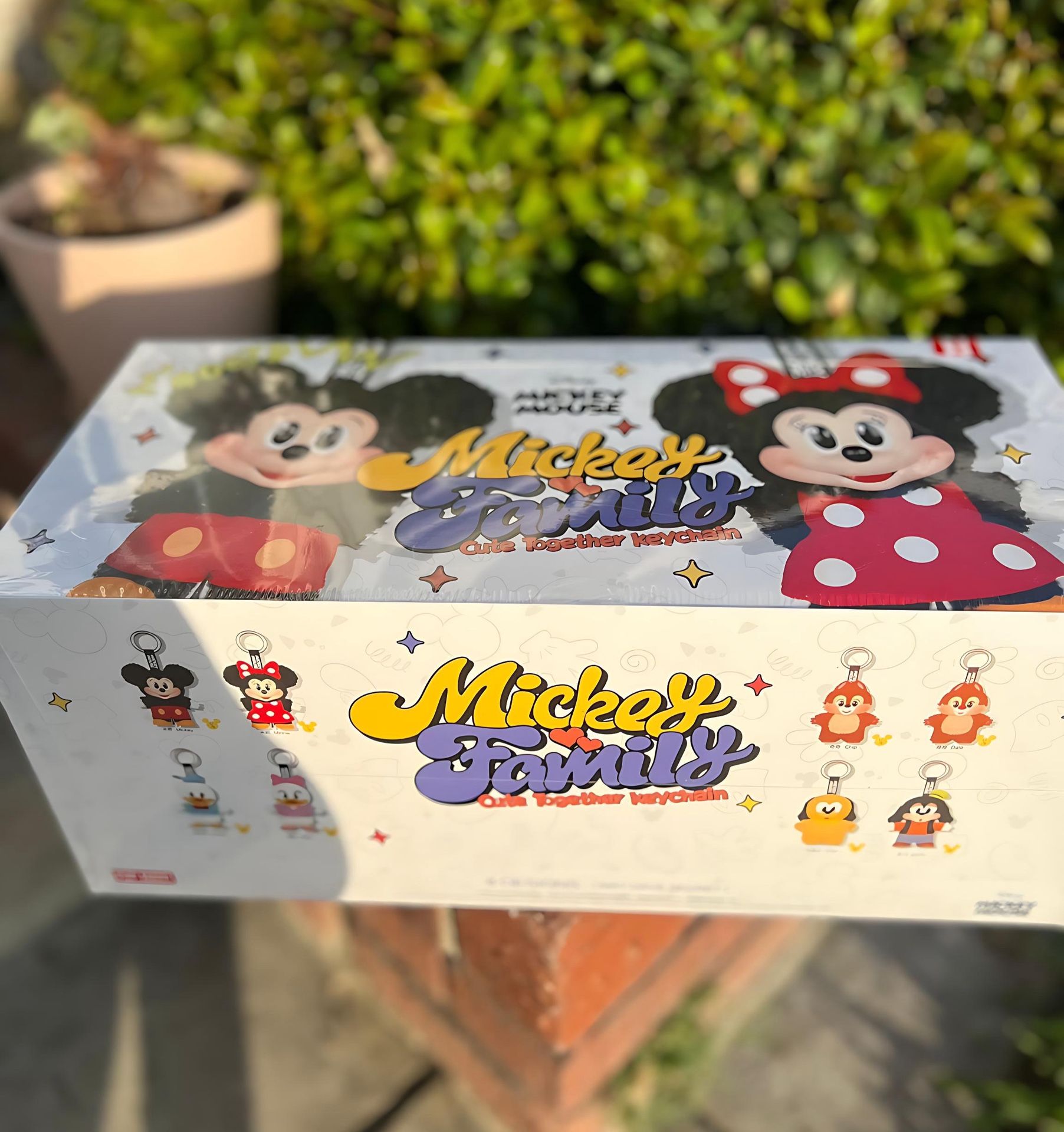 Mickey Friend Family Authentic Box 8 Pcs 