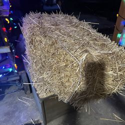 Hay