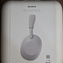 Sony WH-1000XM6 - Silver