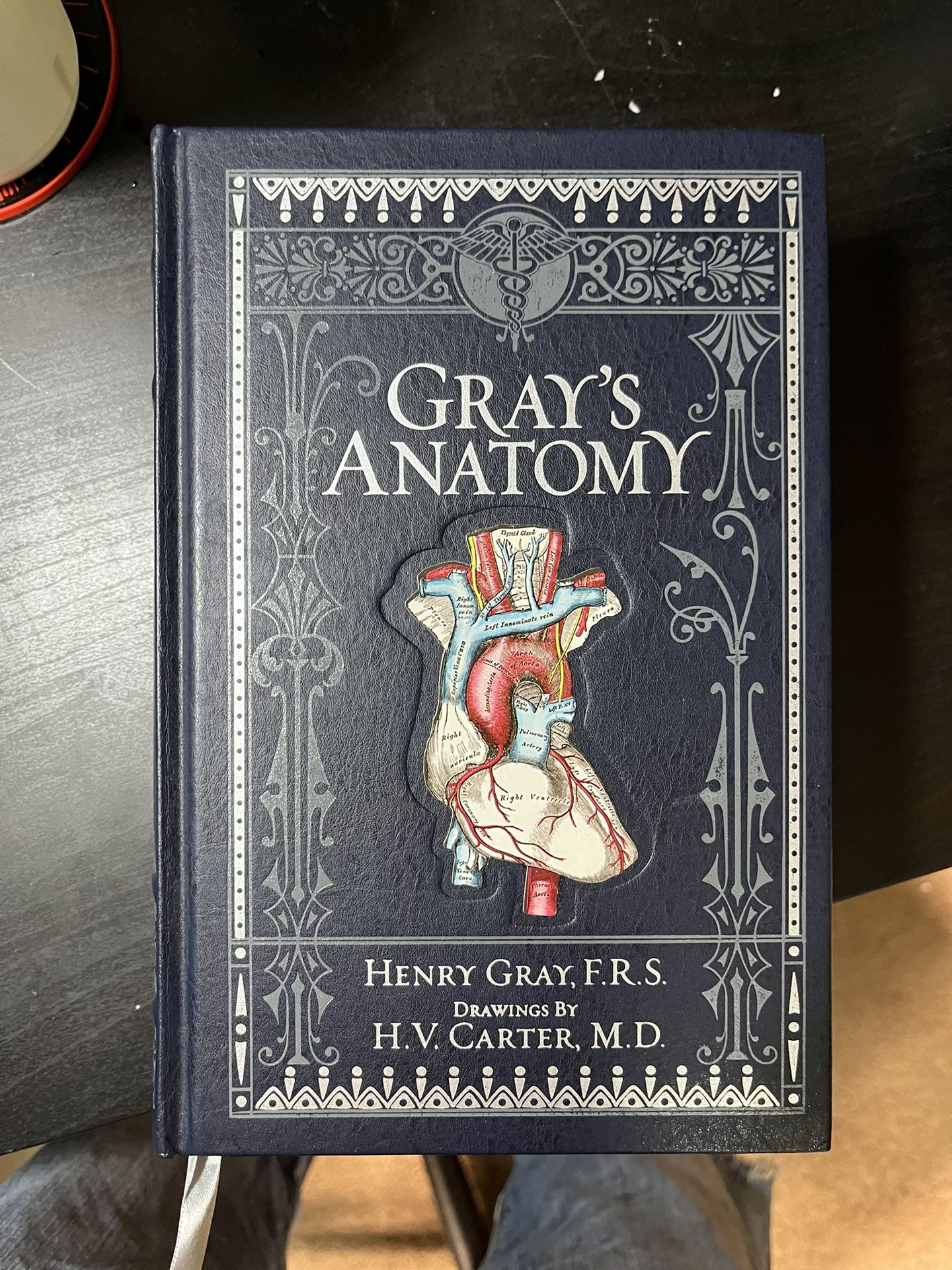 GREYS ANATOMY BOOK