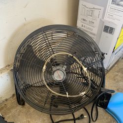Fan