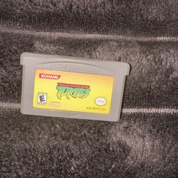 Teenage Mutant Ninja Turtles Nintendo Game Boy Advance 