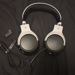 PlayStation Headphone And Camera