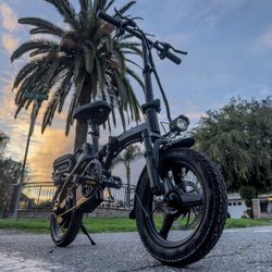 Electric Bike