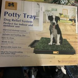 Potty Tray For Dogs 