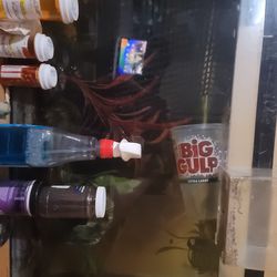 Huge list of feeeeesh