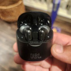 JBL Ear Buds, Lightly Used