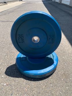 35 Lb Colored Bumpers