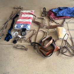 Horse/Equine Stuff/tack