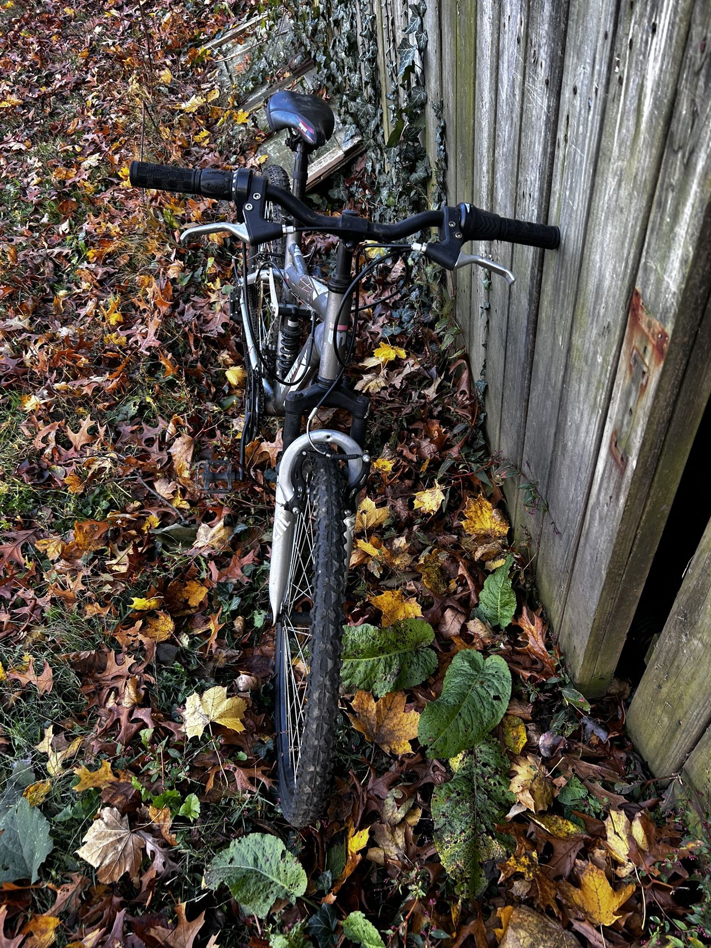 Mongoose Mountain Bike