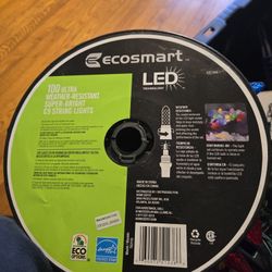 100 Led light set.. steady on (No Flashing)