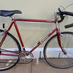 Nishiki Bike