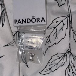 Pandora Charm 