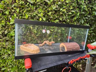 Reptile tank