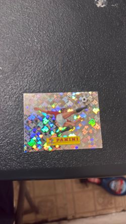 Panini 00
