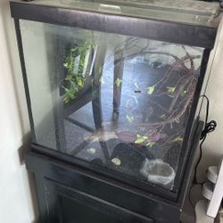 Aquarium With Cabinet 