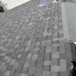 Shingle Roof 