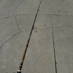 Vintage Trail Fishing Rod