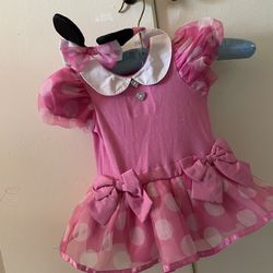 Minnie Mouse Custom
