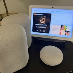 Full Google Assistant speaker / hub max / Nest Smart Speaker