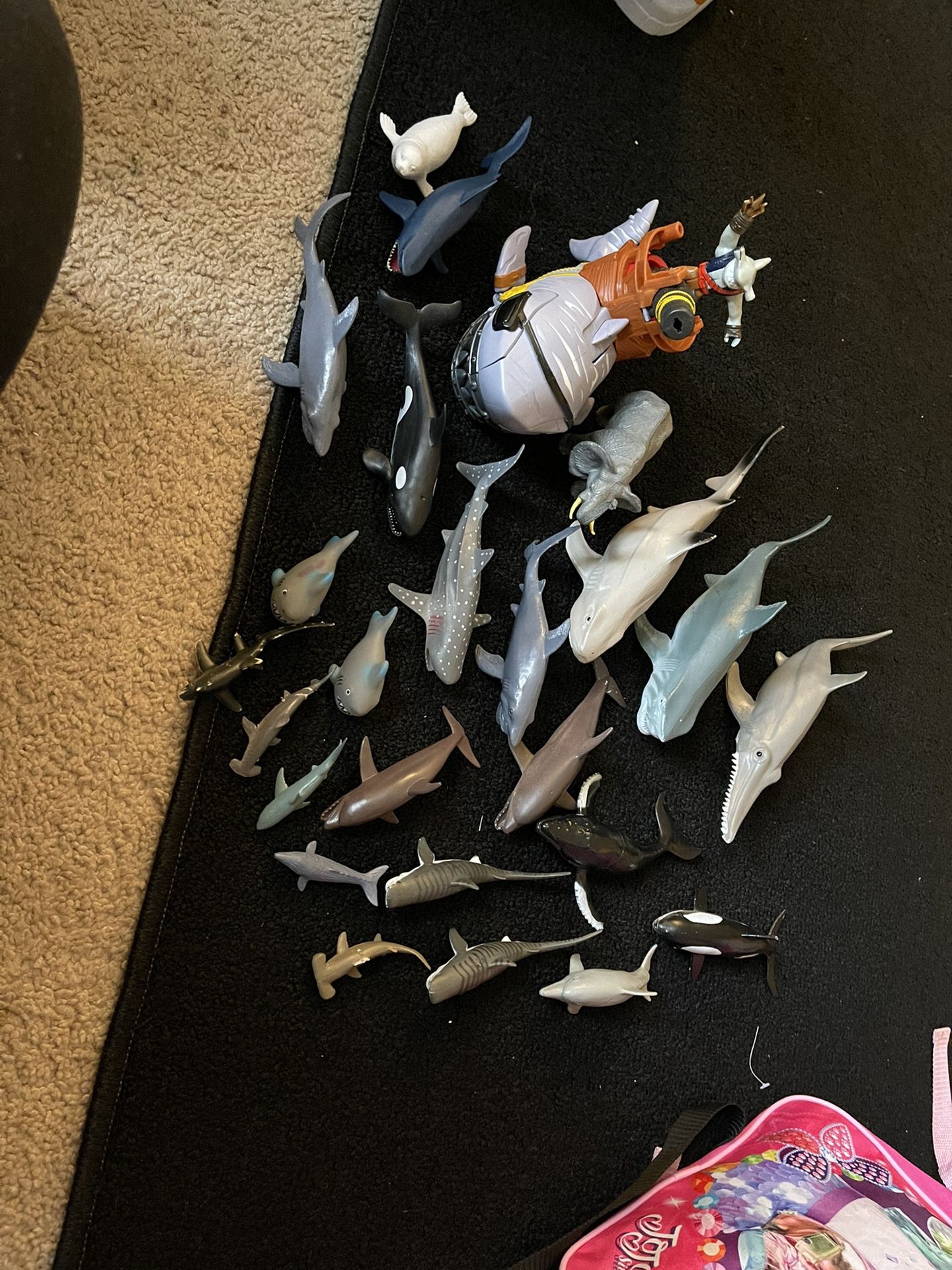 Sharks, Etc