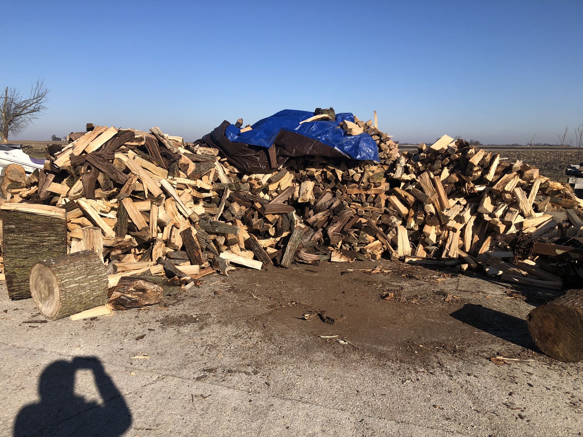 Firewood