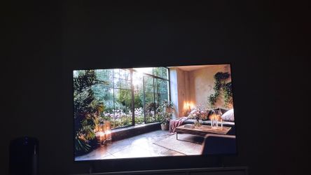 55 inch tv