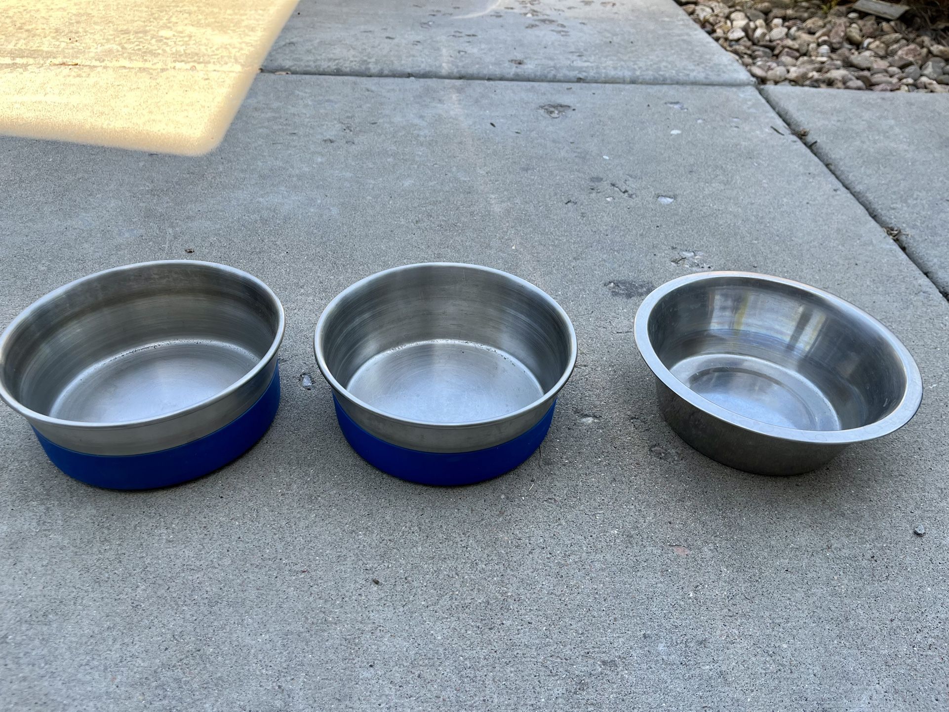 Dog Bowls