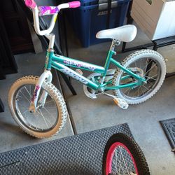 Magna Bike- Barely Used