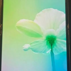 Samsung Galaxy Flip