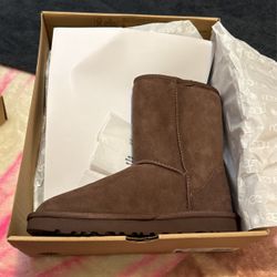 Brown Short Uggs