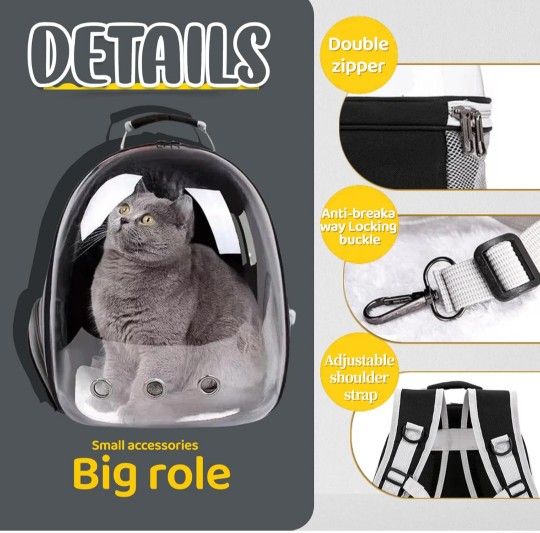 Cat Backpack 5 Units Free 