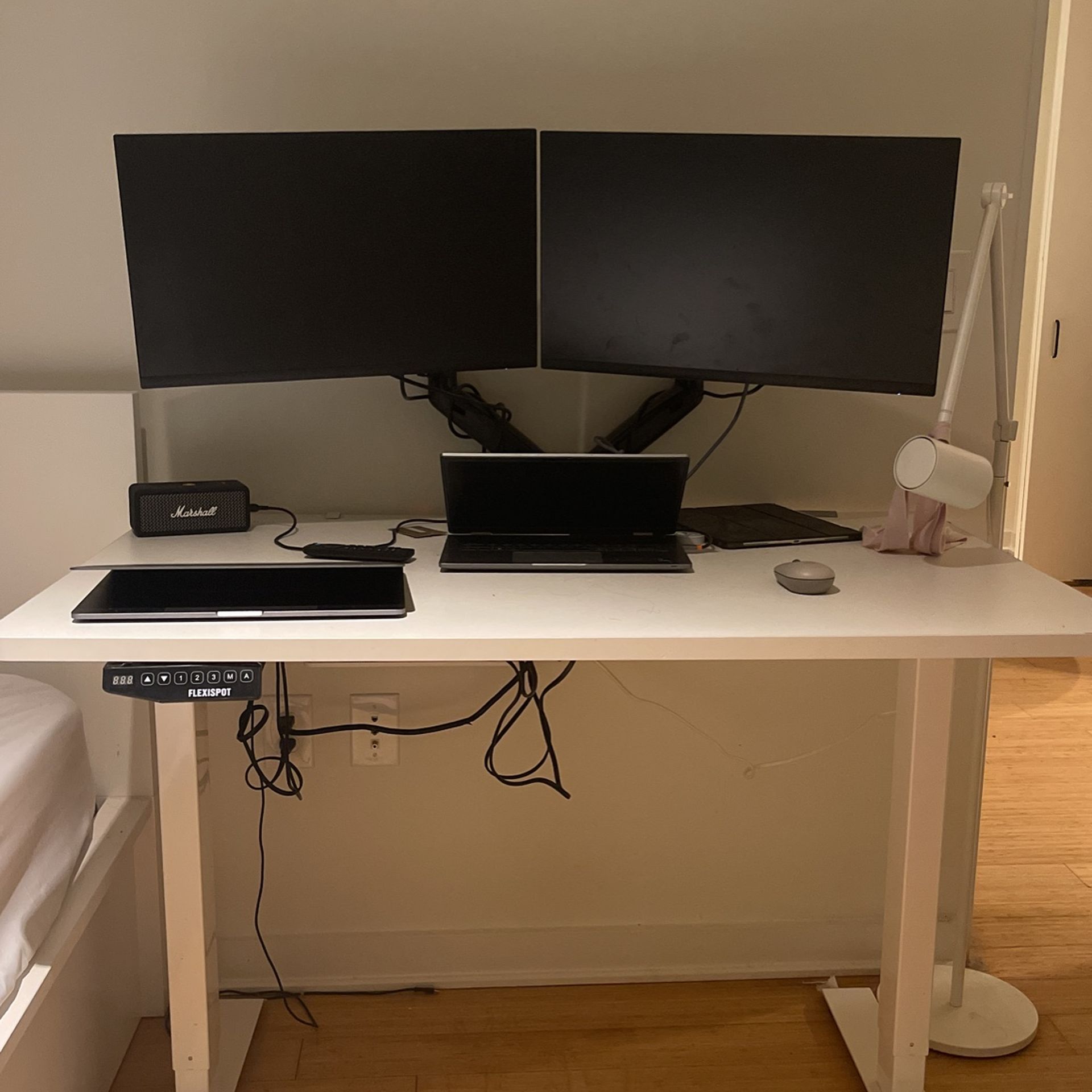 Dual Dell 24 inch Monitor with monitor arm