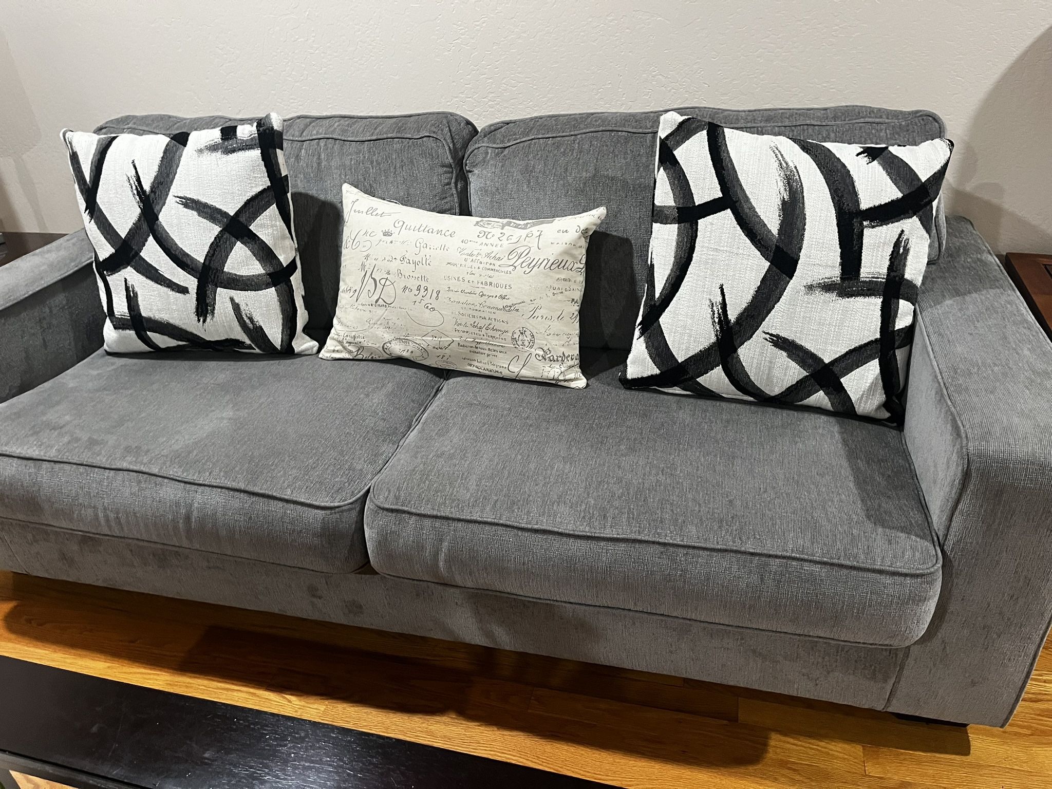 New Couch With Pull Out Queen Bed