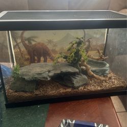 Lizard Tank 