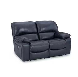 Leesworth 65 in. Solid Leather Match 2-Seater Power Reclining Loveseat with USB Ports in Blue