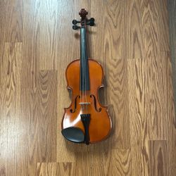Violin