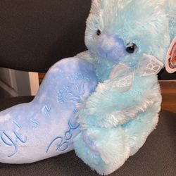 It’s A Boy Teddy Bears