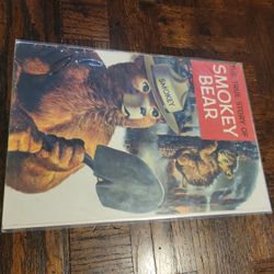 Smokey Bear Comic