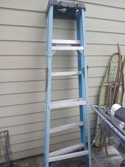 10 foot  an 6 foot werner ladder