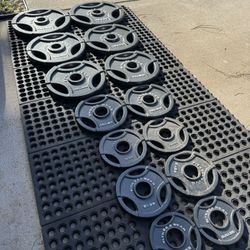 Weights 