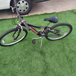 Raleigh MTN Scout Kids Bike - Black