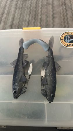 Trash fish