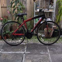 Bicycle 21 Speed