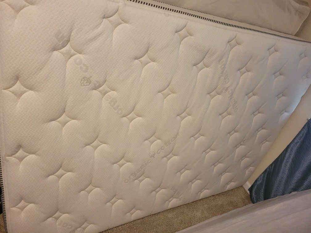 Organic Cotton Full Standard Mattress & Box Spring