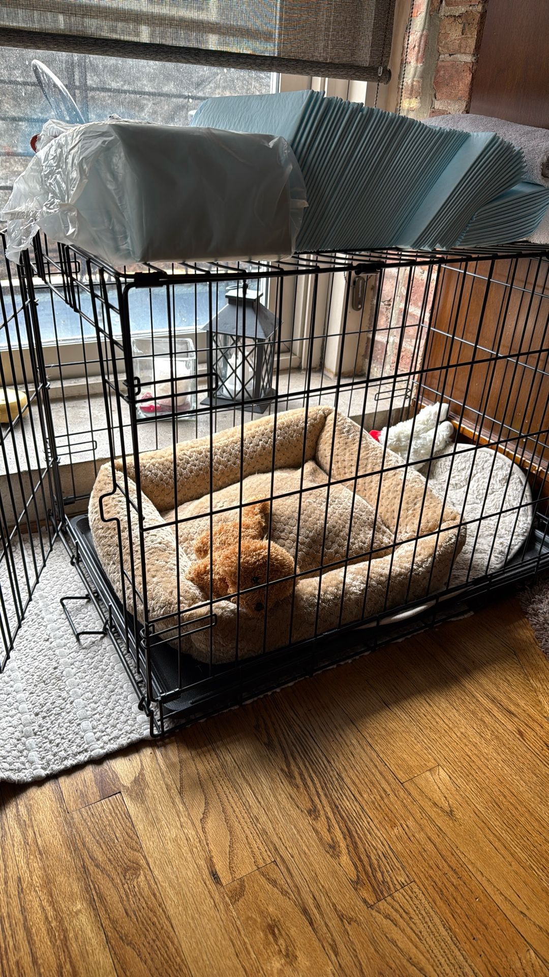 Dog Crate