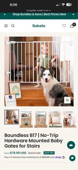 Baby gate